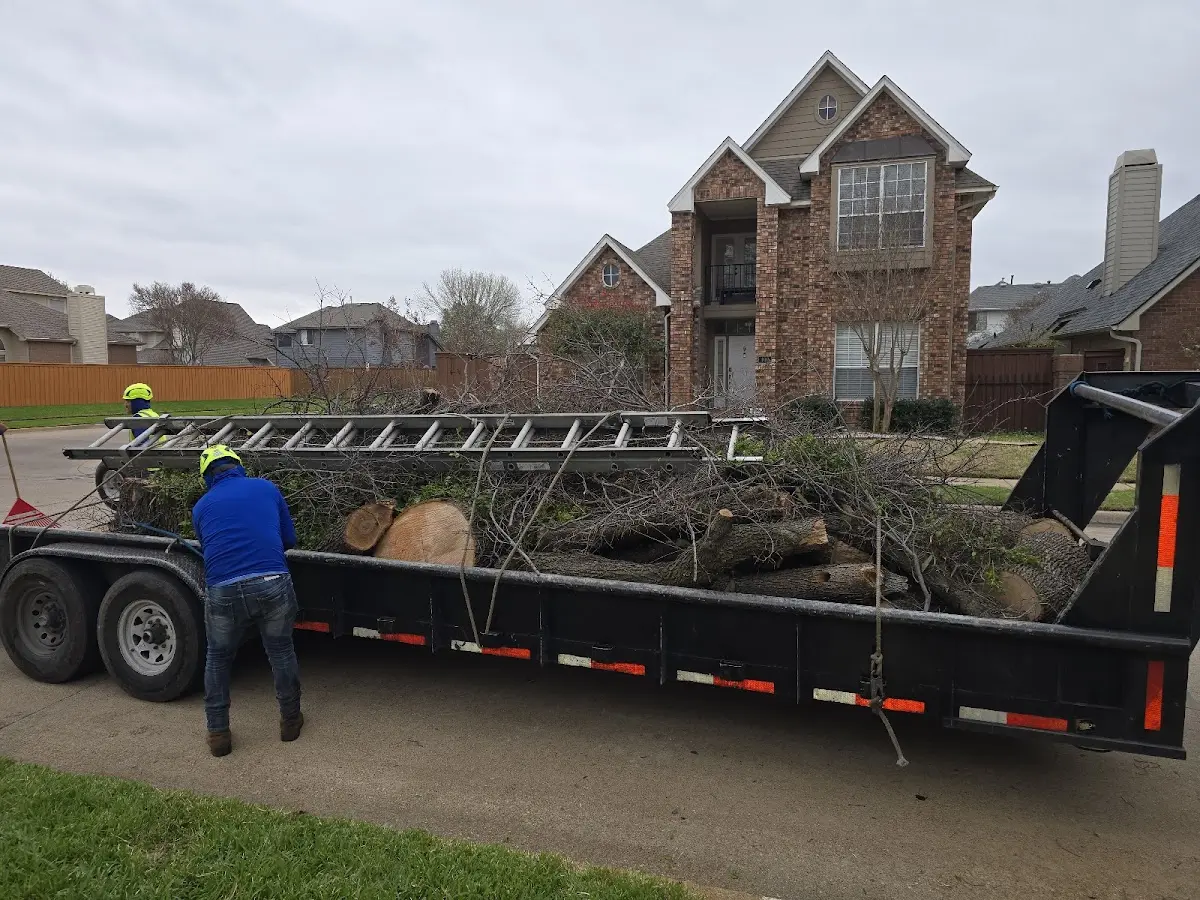 Expert Tree Fertilization with proper safety equipment in Morris